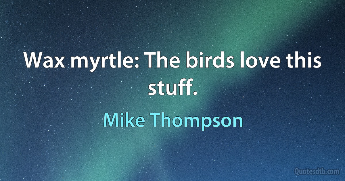 Wax myrtle: The birds love this stuff. (Mike Thompson)