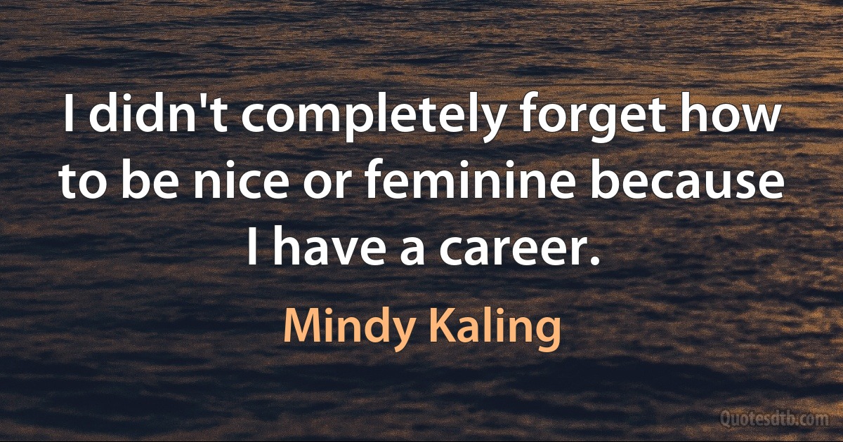 I didn't completely forget how to be nice or feminine because I have a career. (Mindy Kaling)