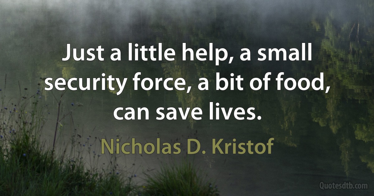 Just a little help, a small security force, a bit of food, can save lives. (Nicholas D. Kristof)