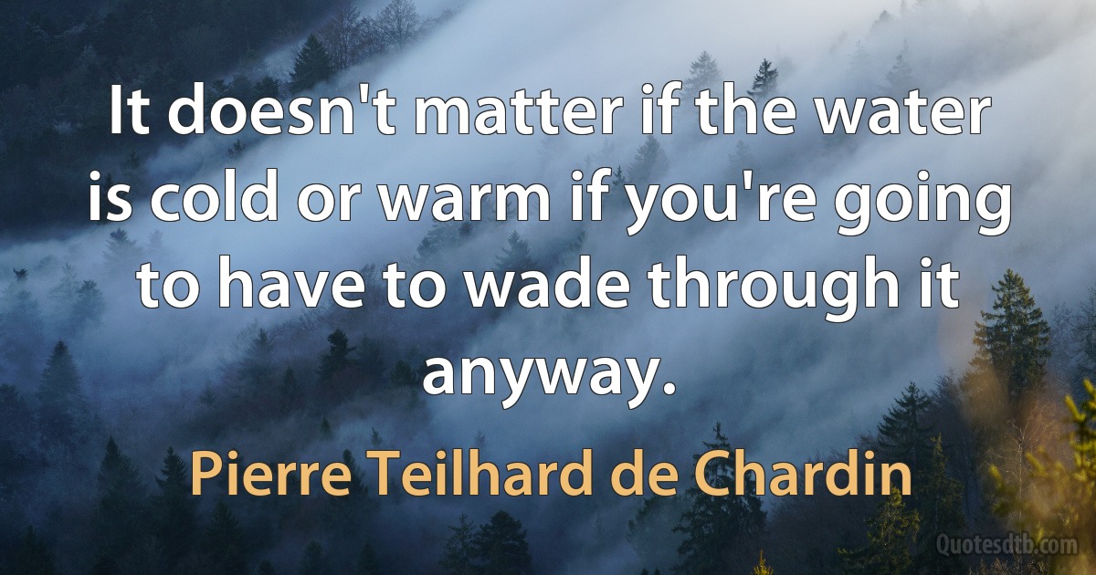 It doesn't matter if the water is cold or warm if you're going to have to wade through it anyway. (Pierre Teilhard de Chardin)