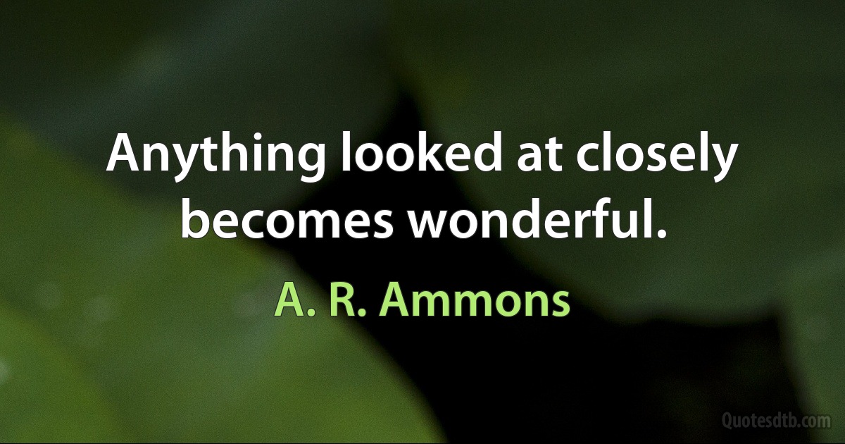 Anything looked at closely becomes wonderful. (A. R. Ammons)