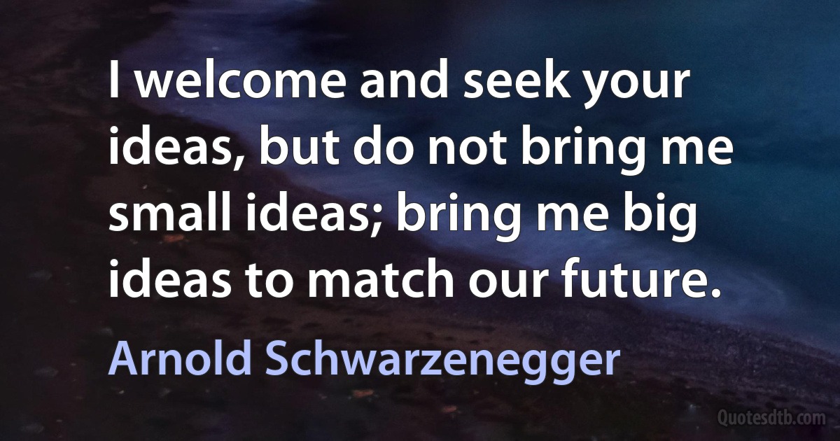 I welcome and seek your ideas, but do not bring me small ideas; bring me big ideas to match our future. (Arnold Schwarzenegger)