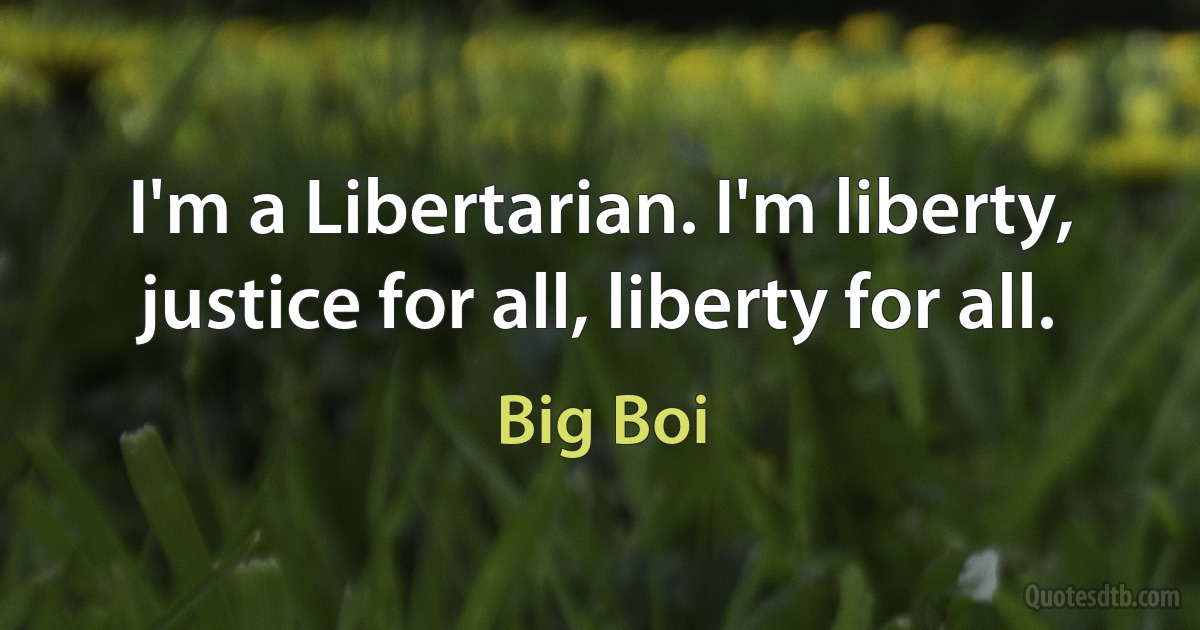 I'm a Libertarian. I'm liberty, justice for all, liberty for all. (Big Boi)