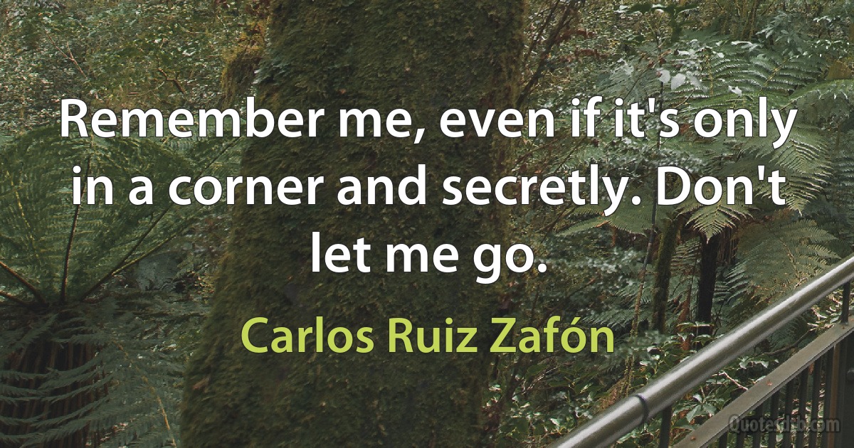 Remember me, even if it's only in a corner and secretly. Don't let me go. (Carlos Ruiz Zafón)