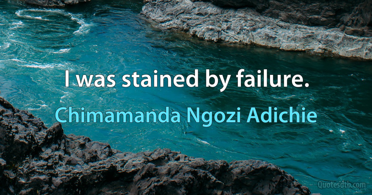 I was stained by failure. (Chimamanda Ngozi Adichie)