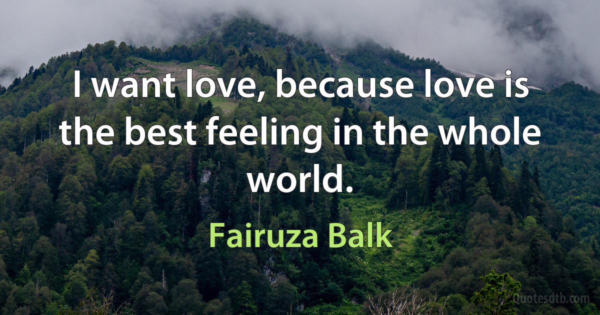 I want love, because love is the best feeling in the whole world. (Fairuza Balk)