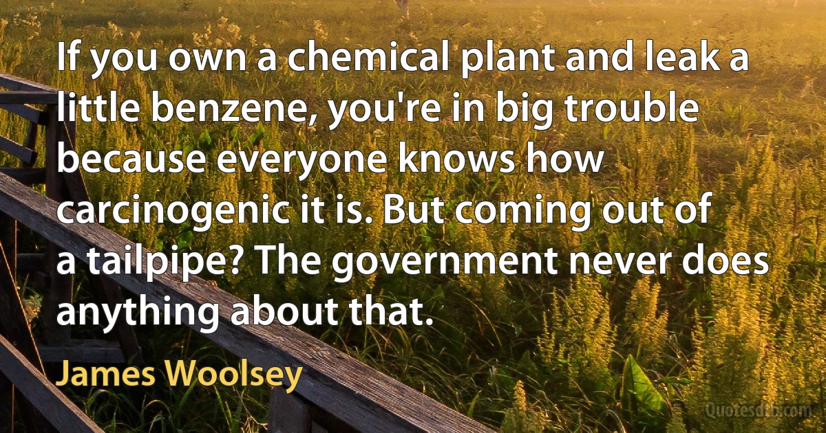 If you own a chemical plant and leak a little benzene, you're in big trouble because everyone knows how carcinogenic it is. But coming out of a tailpipe? The government never does anything about that. (James Woolsey)