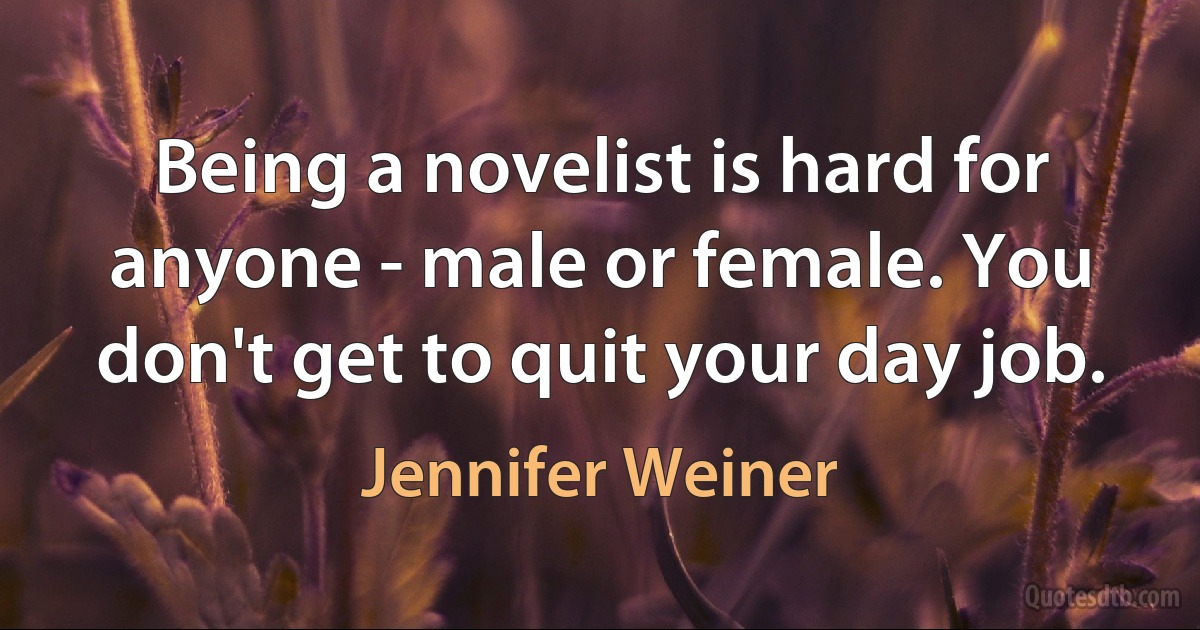 Being a novelist is hard for anyone - male or female. You don't get to quit your day job. (Jennifer Weiner)