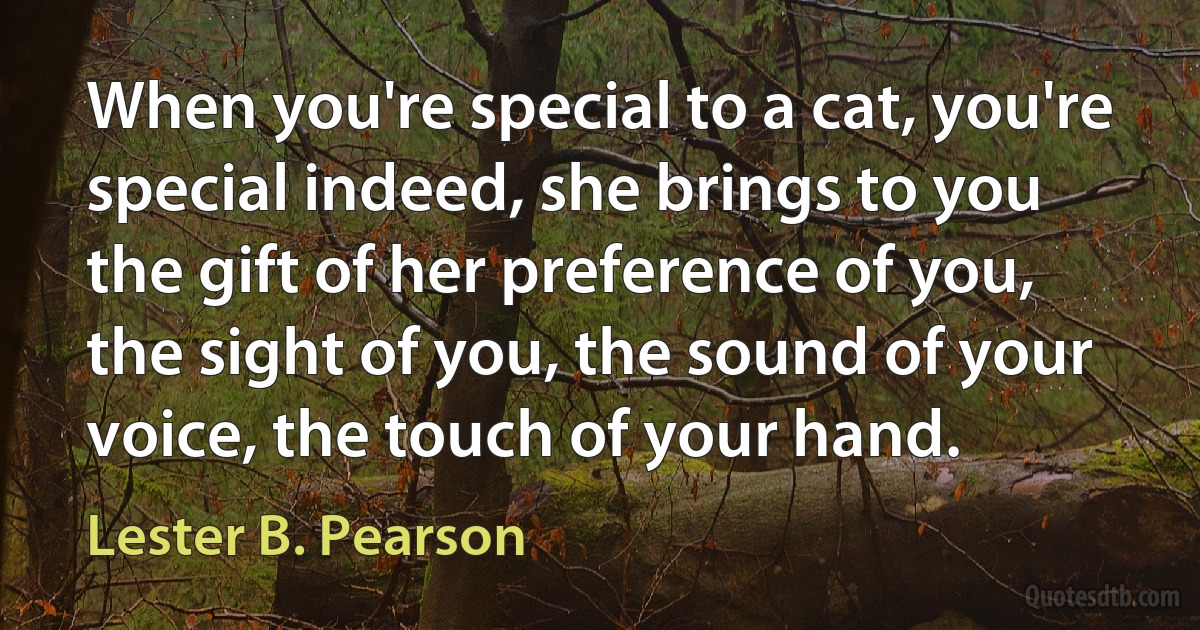 When you're special to a cat, you're special indeed, she brings to you the gift of her preference of you, the sight of you, the sound of your voice, the touch of your hand. (Lester B. Pearson)