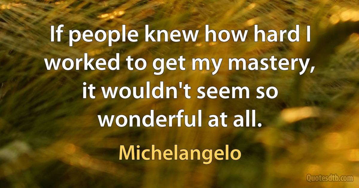 If people knew how hard I worked to get my mastery, it wouldn't seem so wonderful at all. (Michelangelo)