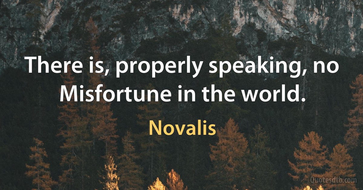 There is, properly speaking, no Misfortune in the world. (Novalis)