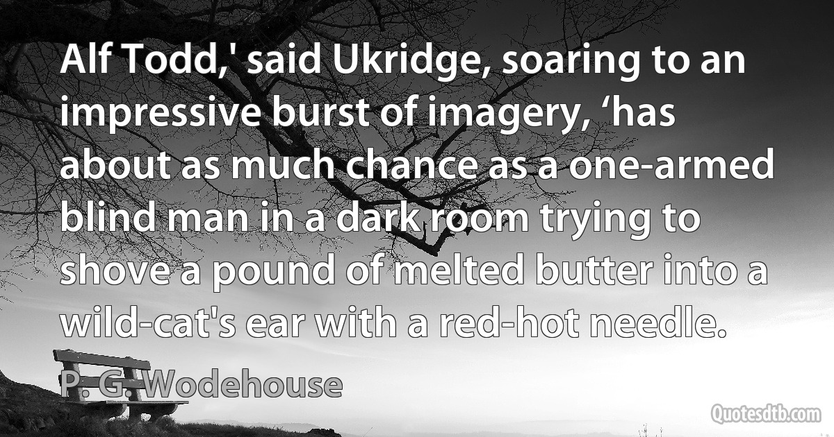 Alf Todd,' said Ukridge, soaring to an impressive burst of imagery, ‘has about as much chance as a one-armed blind man in a dark room trying to shove a pound of melted butter into a wild-cat's ear with a red-hot needle. (P. G. Wodehouse)