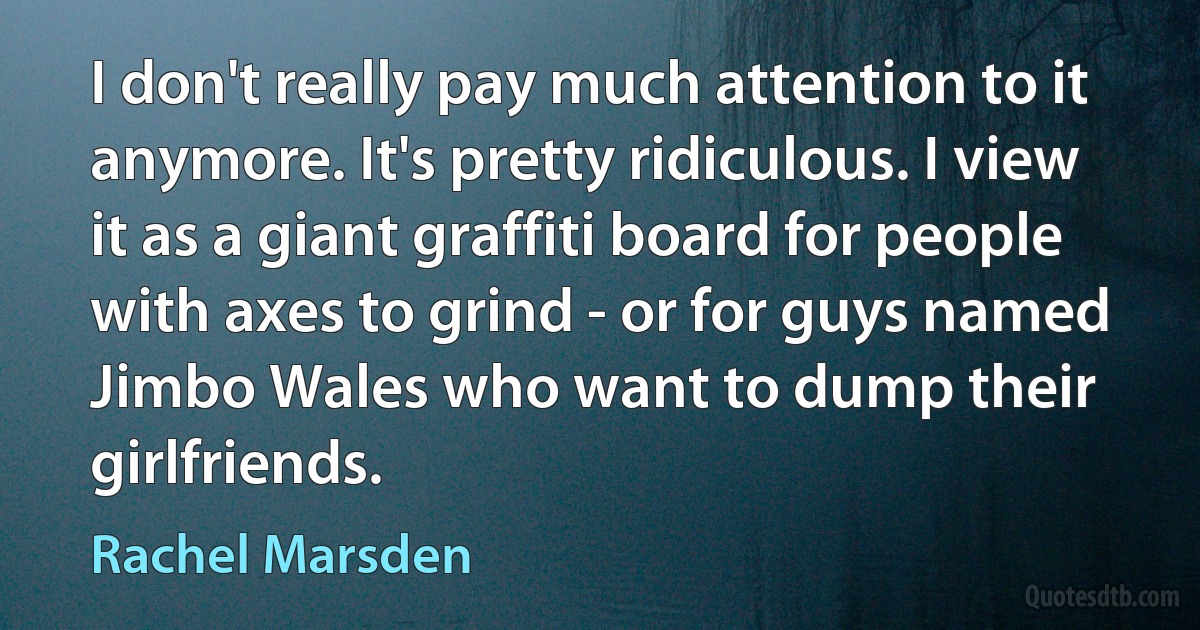 I don't really pay much attention to it anymore. It's pretty ridiculous. I view it as a giant graffiti board for people with axes to grind - or for guys named Jimbo Wales who want to dump their girlfriends. (Rachel Marsden)