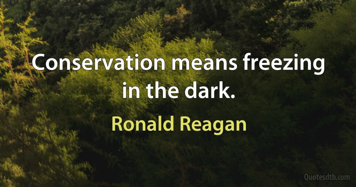 Conservation means freezing in the dark. (Ronald Reagan)