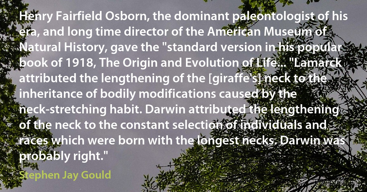 Henry Fairfield Osborn, the dominant paleontologist of his era, and long time director of the American Museum of Natural History, gave the "standard version in his popular book of 1918, The Origin and Evolution of Life... "Lamarck attributed the lengthening of the [giraffe's] neck to the inheritance of bodily modifications caused by the neck-stretching habit. Darwin attributed the lengthening of the neck to the constant selection of individuals and races which were born with the longest necks. Darwin was probably right." (Stephen Jay Gould)