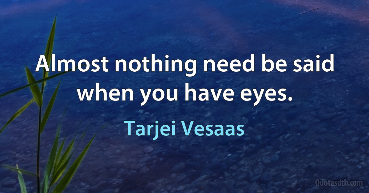 Almost nothing need be said when you have eyes. (Tarjei Vesaas)