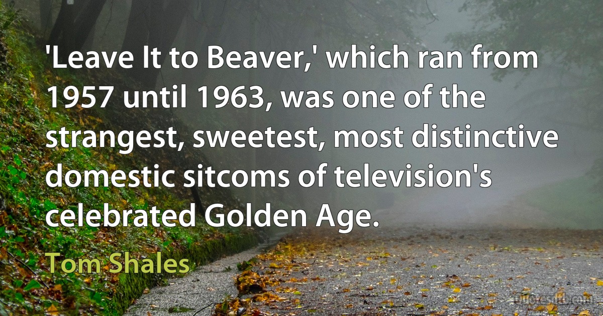 'Leave It to Beaver,' which ran from 1957 until 1963, was one of the strangest, sweetest, most distinctive domestic sitcoms of television's celebrated Golden Age. (Tom Shales)