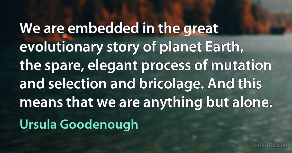 We are embedded in the great evolutionary story of planet Earth, the spare, elegant process of mutation and selection and bricolage. And this means that we are anything but alone. (Ursula Goodenough)