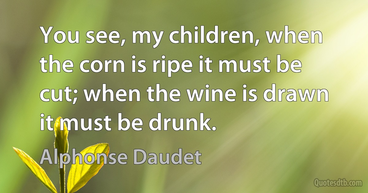 You see, my children, when the corn is ripe it must be cut; when the wine is drawn it must be drunk. (Alphonse Daudet)