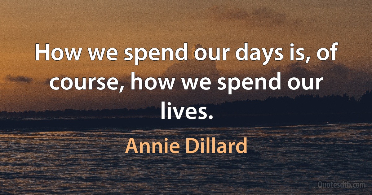 How we spend our days is, of course, how we spend our lives. (Annie Dillard)