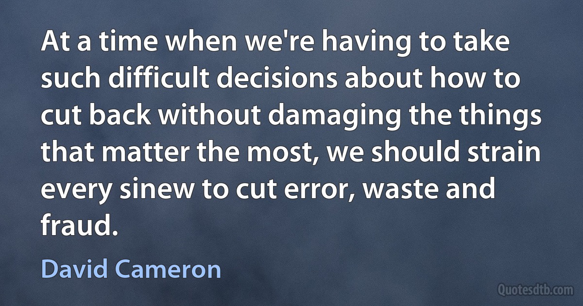 At a time when we're having to take such difficult decisions about how to cut back without damaging the things that matter the most, we should strain every sinew to cut error, waste and fraud. (David Cameron)