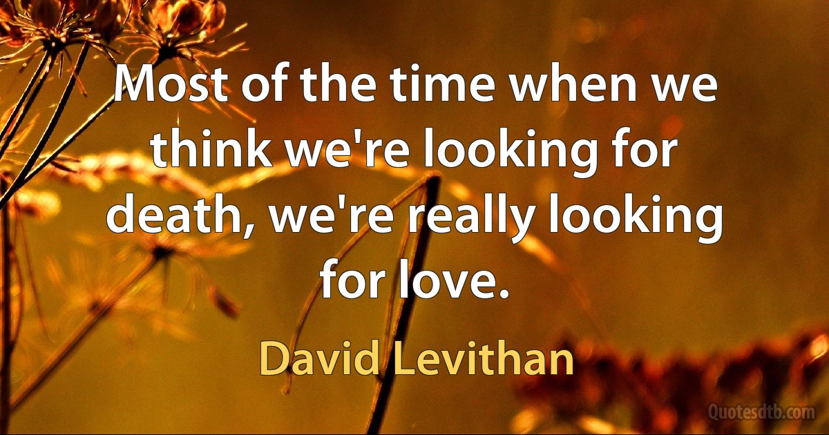 Most of the time when we think we're looking for death, we're really looking for love. (David Levithan)