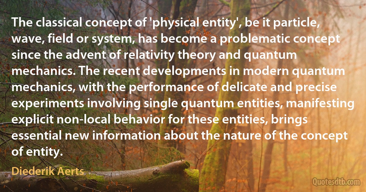 The classical concept of 'physical entity', be it particle, wave, field or system, has become a problematic concept since the advent of relativity theory and quantum mechanics. The recent developments in modern quantum mechanics, with the performance of delicate and precise experiments involving single quantum entities, manifesting explicit non-local behavior for these entities, brings essential new information about the nature of the concept of entity. (Diederik Aerts)