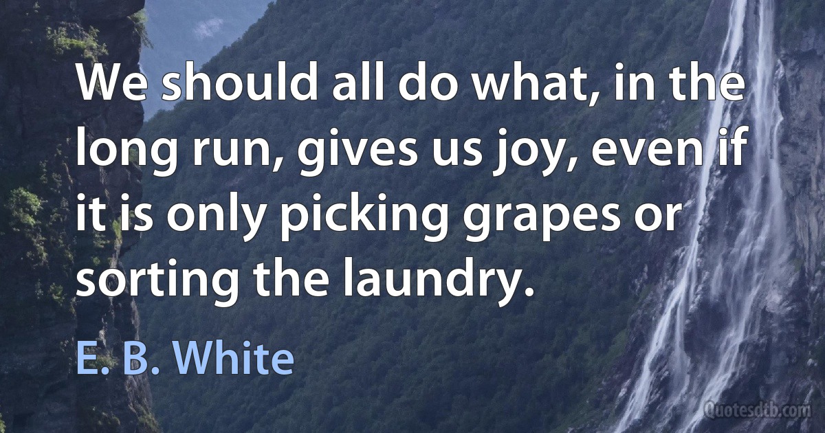 We should all do what, in the long run, gives us joy, even if it is only picking grapes or sorting the laundry. (E. B. White)