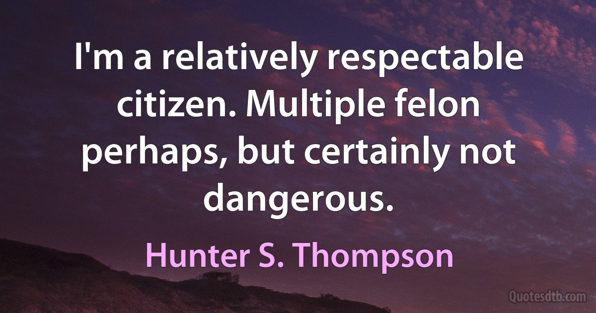 I'm a relatively respectable citizen. Multiple felon perhaps, but certainly not dangerous. (Hunter S. Thompson)