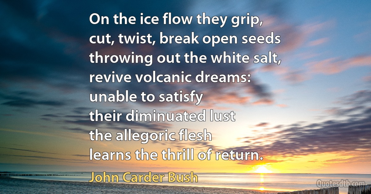 On the ice flow they grip,
cut, twist, break open seeds
throwing out the white salt,
revive volcanic dreams:
unable to satisfy
their diminuated lust
the allegoric flesh
learns the thrill of return. (John Carder Bush)