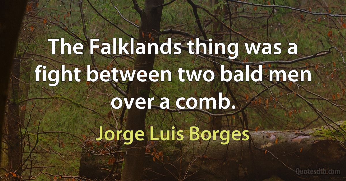 The Falklands thing was a fight between two bald men over a comb. (Jorge Luis Borges)