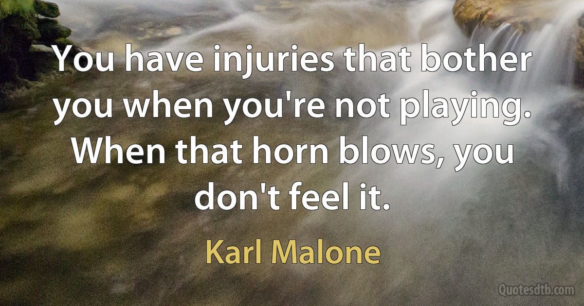 You have injuries that bother you when you're not playing. When that horn blows, you don't feel it. (Karl Malone)