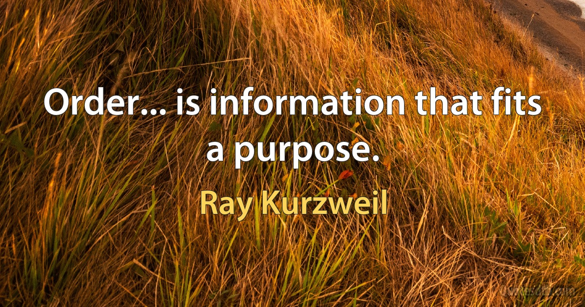 Order... is information that fits a purpose. (Ray Kurzweil)