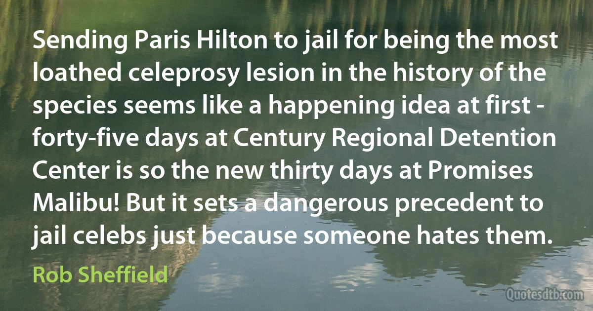 Sending Paris Hilton to jail for being the most loathed celeprosy lesion in the history of the species seems like a happening idea at first - forty-five days at Century Regional Detention Center is so the new thirty days at Promises Malibu! But it sets a dangerous precedent to jail celebs just because someone hates them. (Rob Sheffield)