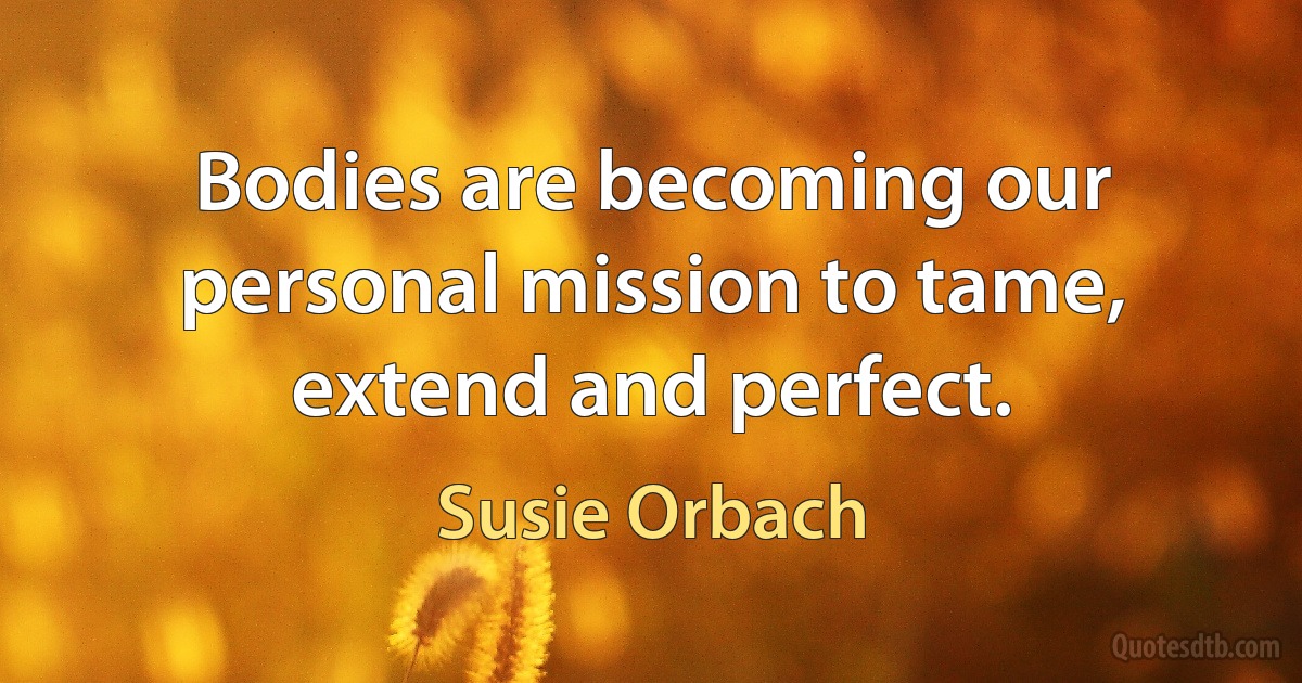 Bodies are becoming our personal mission to tame, extend and perfect. (Susie Orbach)