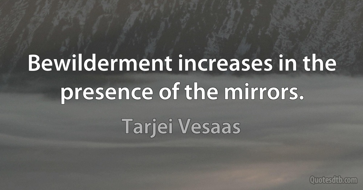 Bewilderment increases in the presence of the mirrors. (Tarjei Vesaas)