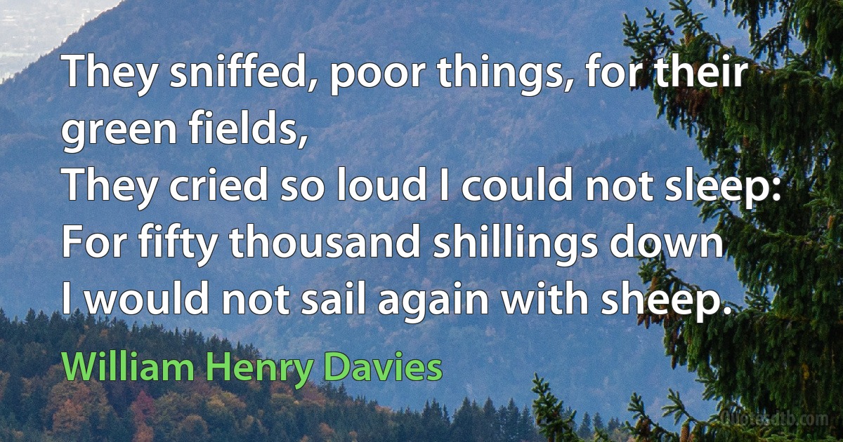 They sniffed, poor things, for their green fields,
They cried so loud I could not sleep:
For fifty thousand shillings down
I would not sail again with sheep. (William Henry Davies)