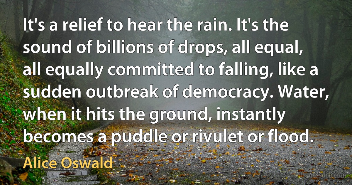 It's a relief to hear the rain. It's the sound of billions of drops, all equal, all equally committed to falling, like a sudden outbreak of democracy. Water, when it hits the ground, instantly becomes a puddle or rivulet or flood. (Alice Oswald)