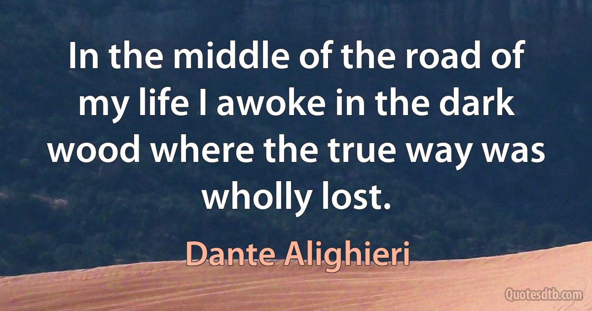 In the middle of the road of my life I awoke in the dark wood where the true way was wholly lost. (Dante Alighieri)