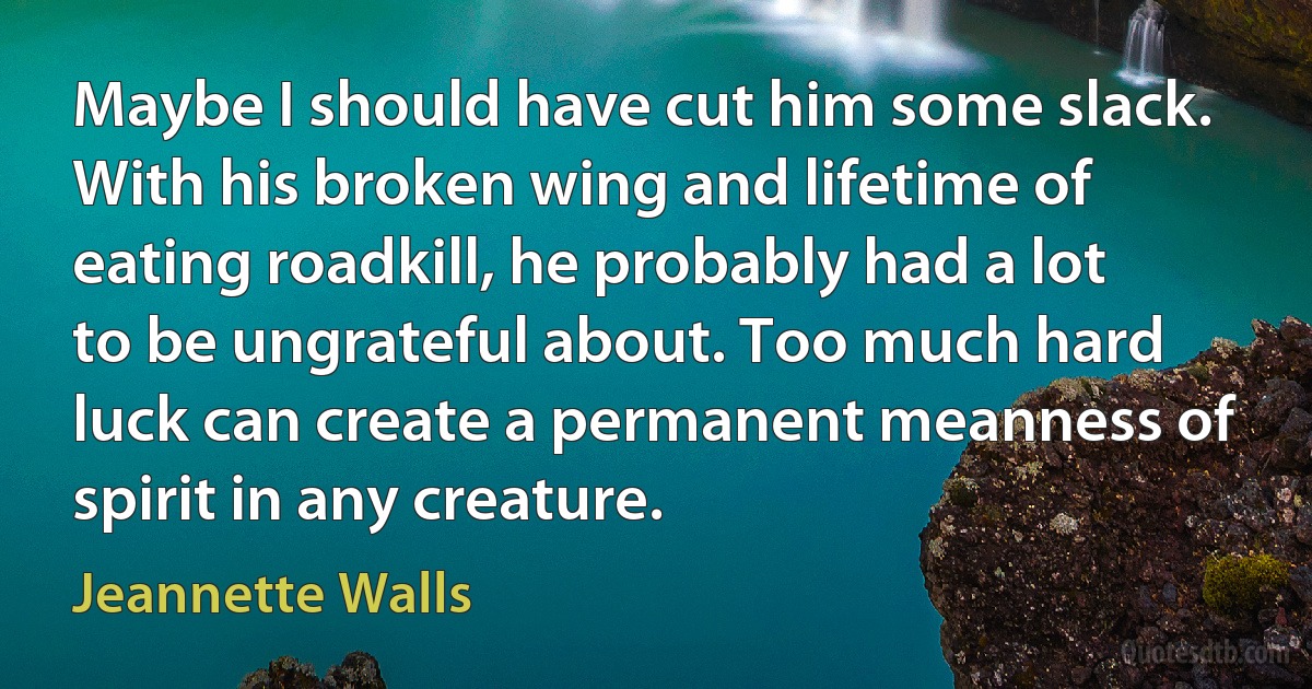 Maybe I should have cut him some slack. With his broken wing and lifetime of eating roadkill, he probably had a lot to be ungrateful about. Too much hard luck can create a permanent meanness of spirit in any creature. (Jeannette Walls)