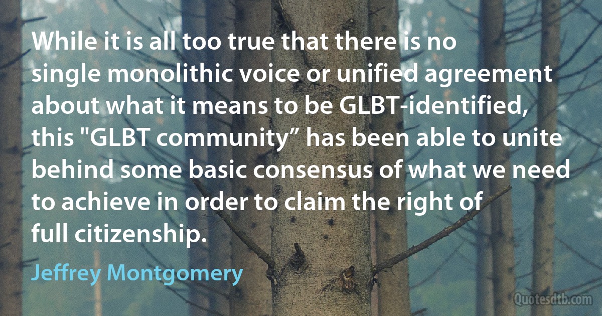 While it is all too true that there is no single monolithic voice or unified agreement about what it means to be GLBT-identified, this "GLBT community” has been able to unite behind some basic consensus of what we need to achieve in order to claim the right of full citizenship. (Jeffrey Montgomery)