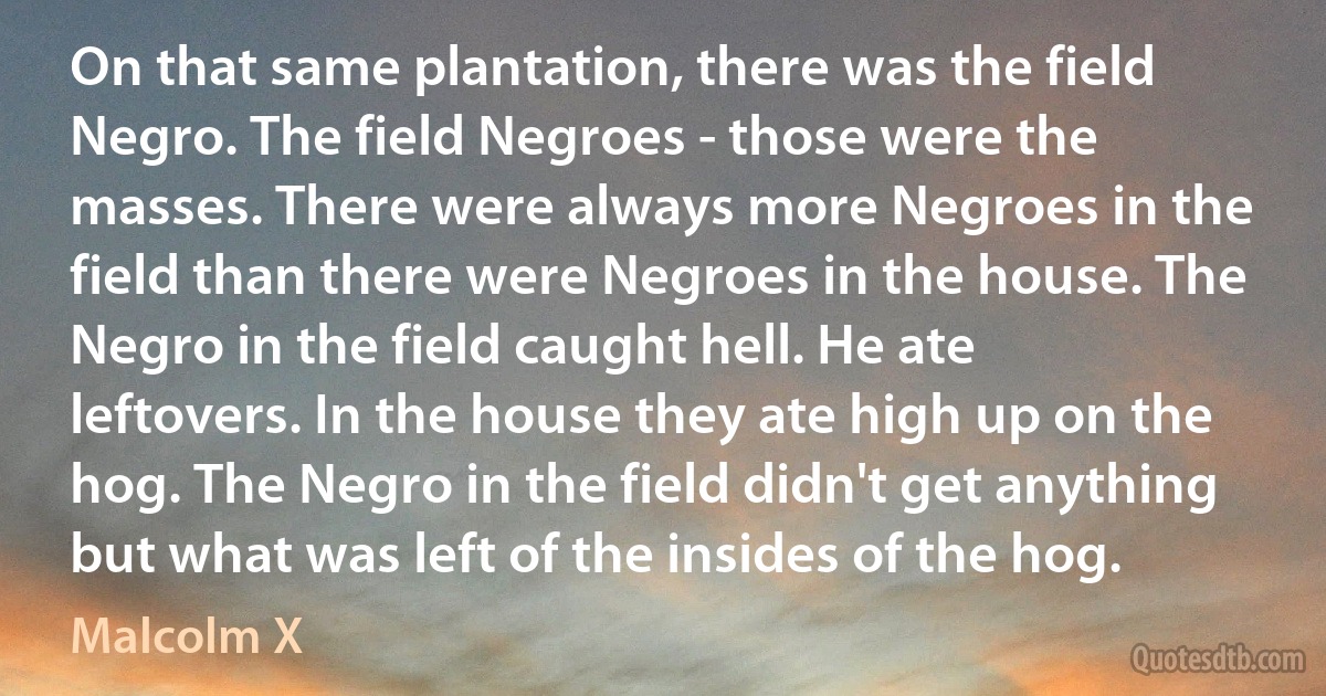 On that same plantation, there was the field Negro. The field Negroes - those were the masses. There were always more Negroes in the field than there were Negroes in the house. The Negro in the field caught hell. He ate leftovers. In the house they ate high up on the hog. The Negro in the field didn't get anything but what was left of the insides of the hog. (Malcolm X)