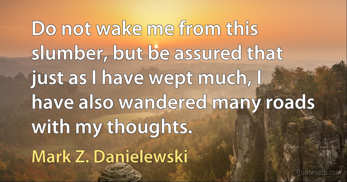 Do not wake me from this slumber, but be assured that just as I have wept much, I have also wandered many roads with my thoughts. (Mark Z. Danielewski)