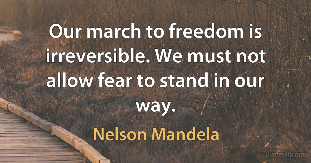 Our march to freedom is irreversible. We must not allow fear to stand in our way. (Nelson Mandela)