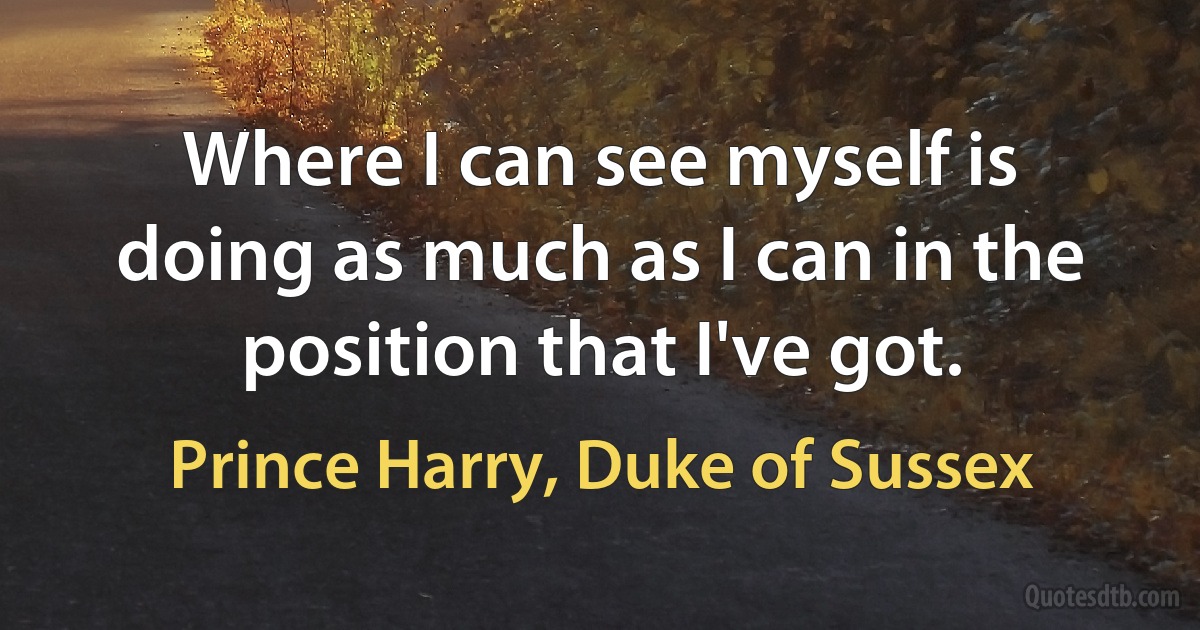 Where I can see myself is doing as much as I can in the position that I've got. (Prince Harry, Duke of Sussex)