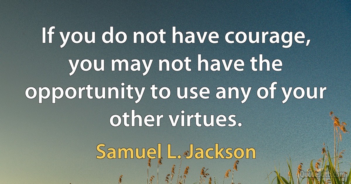 If you do not have courage, you may not have the opportunity to use any of your other virtues. (Samuel L. Jackson)