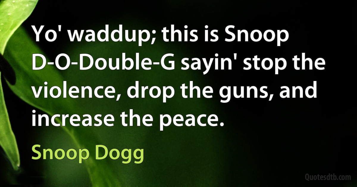 Yo' waddup; this is Snoop D-O-Double-G sayin' stop the violence, drop the guns, and increase the peace. (Snoop Dogg)