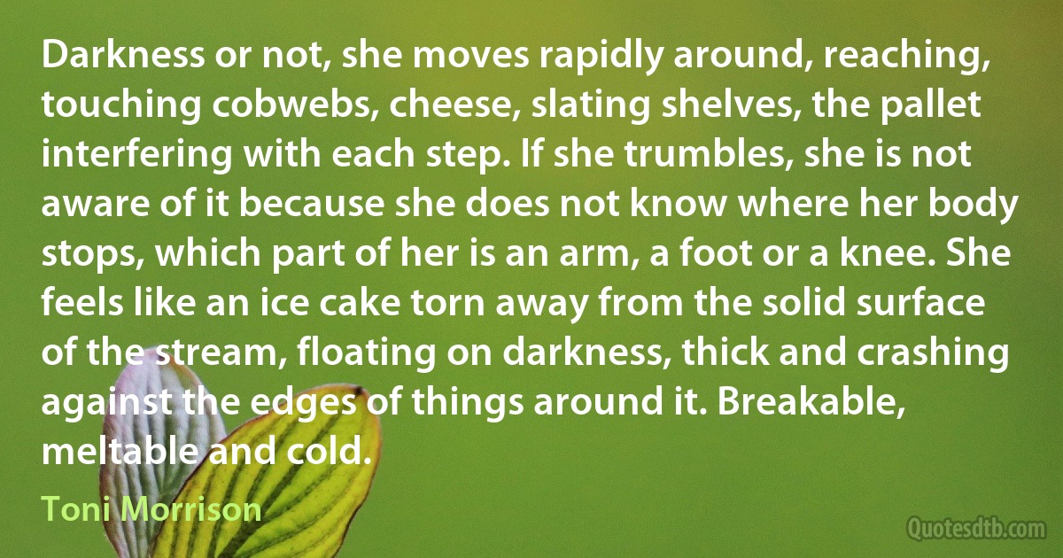 Darkness or not, she moves rapidly around, reaching, touching cobwebs, cheese, slating shelves, the pallet interfering with each step. If she trumbles, she is not aware of it because she does not know where her body stops, which part of her is an arm, a foot or a knee. She feels like an ice cake torn away from the solid surface of the stream, floating on darkness, thick and crashing against the edges of things around it. Breakable, meltable and cold. (Toni Morrison)