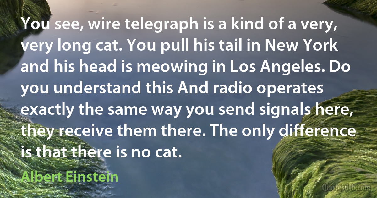 You see, wire telegraph is a kind of a very, very long cat. You pull his tail in New York and his head is meowing in Los Angeles. Do you understand this And radio operates exactly the same way you send signals here, they receive them there. The only difference is that there is no cat. (Albert Einstein)