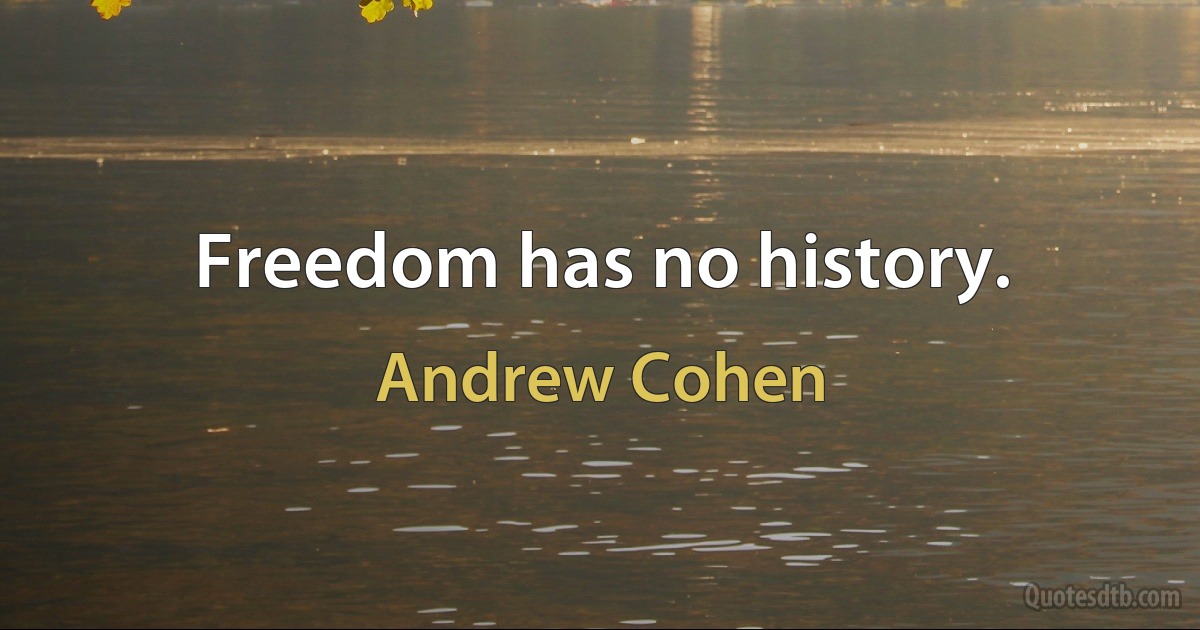 Freedom has no history. (Andrew Cohen)